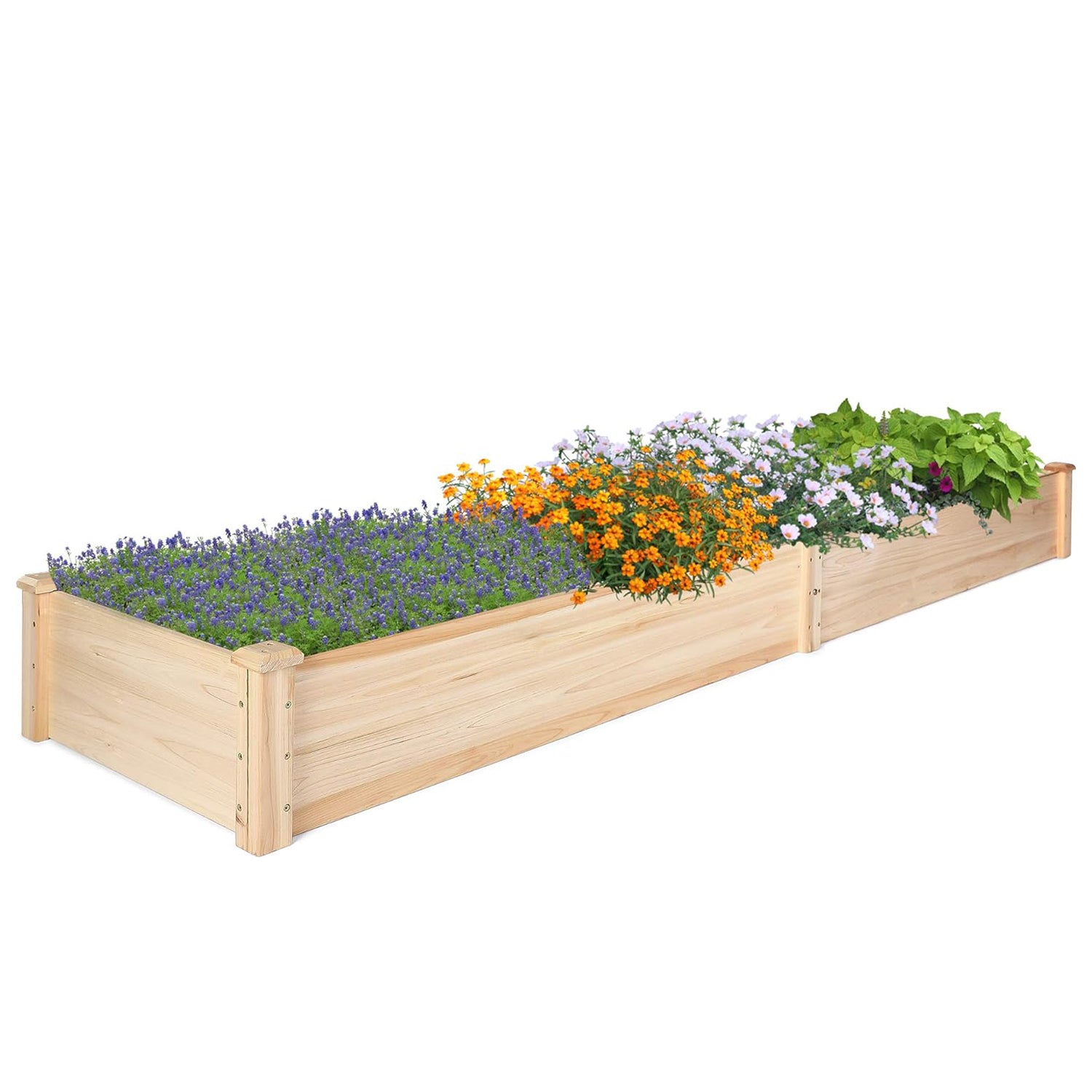 Raised Garden Bed 8 x 2 Ft Outdoor Natural Fir Wood Elevated Planter Garden Box for Vegetable Flower Herb - Bosonshop