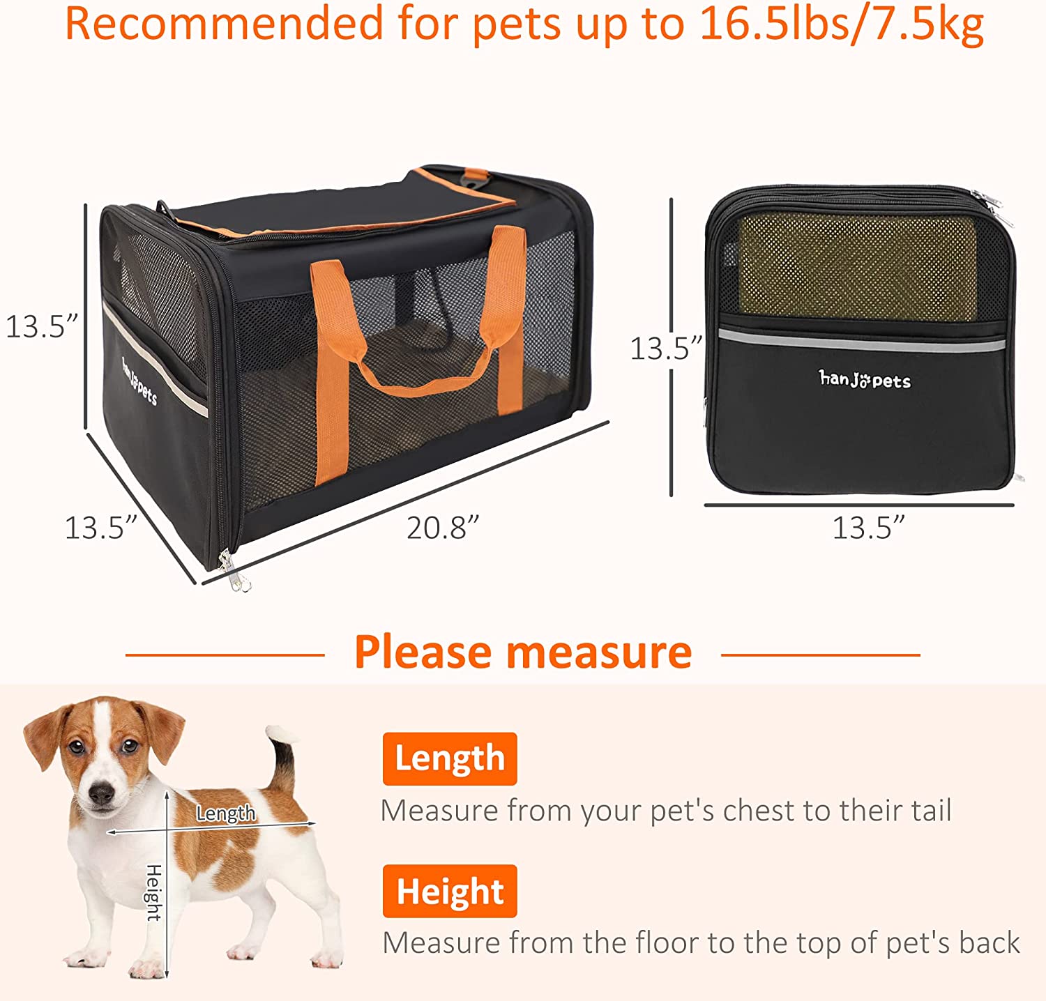 Cupets Foldable Airline Approved Pet Carrier with Safety Strap, Black - Bosonshop