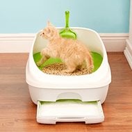 Cat Litter Boxes