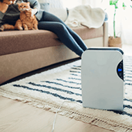 Dehumidifiers - Bosonshop