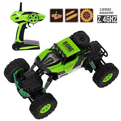 Bosonshop Electric RC Car 1:16 Remote Control Vehicle 2.4Ghz Off-Road Rock Crawler All Terrain Double-turn Waterproof Truck for Kids